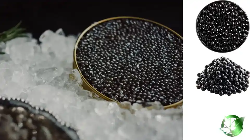 Wholesale packaging for Beluga Imperial Caviar can be planned for retail distribution, foodservice, private-label, or industrial distribution.